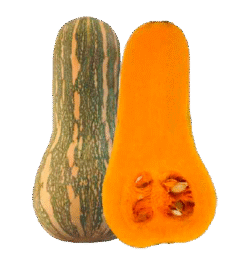 Abóbora Cambau /Kg