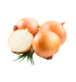 Cebola /Kg