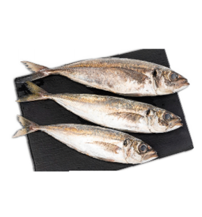 Peixe Carapau Congelado M