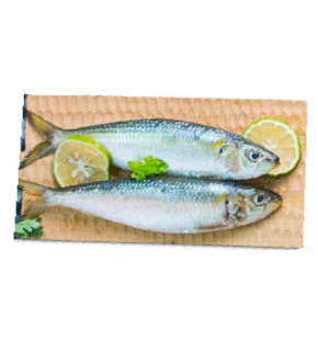 Peixe Sardinha Congelado (P)